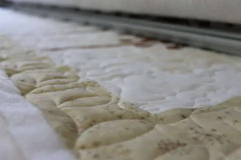 Dandelion Delight Quilt, photo 11 of 20