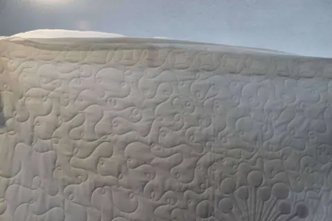 Dandelion Delight Quilt, photo 12 of 20