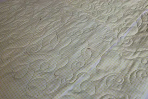Hearts and Swirls Quilt, photo 5 of 21