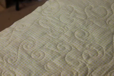 Hearts and Swirls Quilt, photo 11 of 21