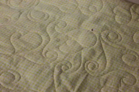 Hearts and Swirls Quilt, photo 12 of 21