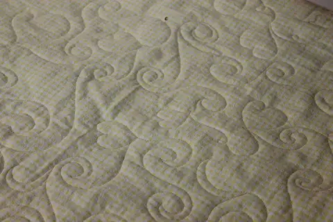 Hearts and Swirls Quilt, photo 13 of 21