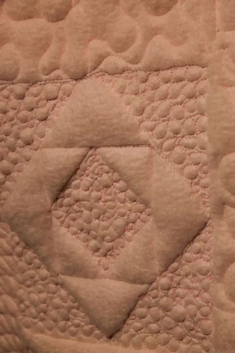 Roses for Shay Quilt, photo 15 of 20